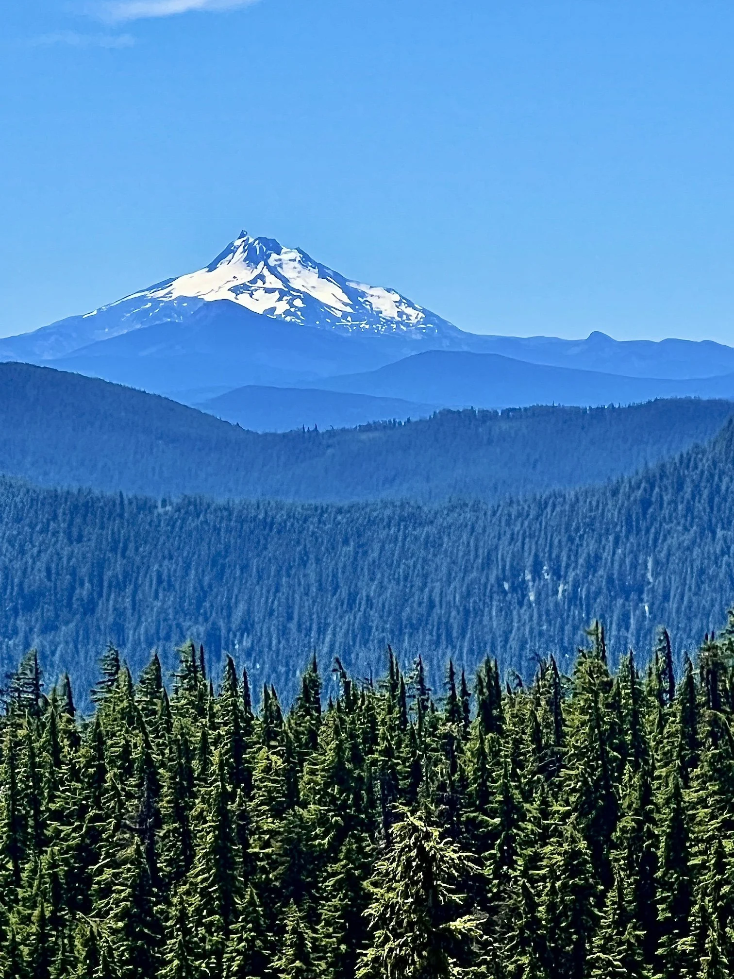Escape the Heat: Mt. Hood Meadows Offers Cool Summer Adventure
